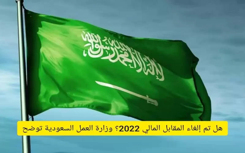 السعودية تعلن اعفاء هذه الفئات لأول مرة من رسوم المقابل المالي للمرافقين